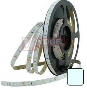 LED pásek SMD2835 studená bílá, 60LED/m, IP20, DC 24V, 10mm, 5m (126.702.60.0) NOVINKA