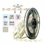 LED pásek SMD2835 studená bílá, 120LED/m, IP54, DC 12V, 10mm, 5m (121.714.60.0) NOVINKA