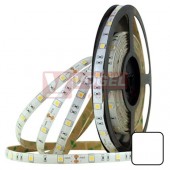 LED pásek SMD5050 neutrální bílá, 30LED/m, IP54, DC 24V, 10mm, 5m (126.674.60.0)