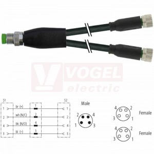 7000-87061-6310030 rozbočovací Y konektor M8/4-pin/vidl/přímý - kabel ČE PUR 4x0,25mm2 L=0,3m - 2x konektor M8/4-pin/zás/přímý