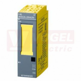 6ES7136-6RA00-0BF0 SIMATIC DP,  ELECTRON. MODULE FOR ET200SP, F-RQ 1X24VDC/24..230VAC/5A ST, 20MM
WIDTH, 1 RELAY OUTPUT (2
NO-CONTACTS) TOTAL OUTPUT
CURRENT 5A, RATED VOLTAGE DC
24V AND AC 24 .. 230V, USEABLE
UP TO PL E (ISO13849-1: 2008)/
SI