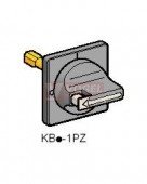 KBD1PZ Vario Ovládač ČE/ČE 60x60mm neuzamyk., montáž otvor pr.22mm  pro VN12,20 a V02-V2