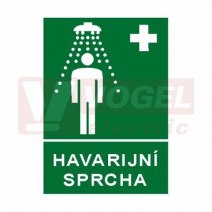 Samolepka informační "Havarijní sprcha" (bílý tisk, zelený podklad), symbol s textem (7831) A4