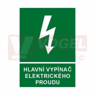 Tabulka informační "Hlavní vypínač elektrického proudu" (bílý tisk, zelený podklad), symbol s textem (6133) A4