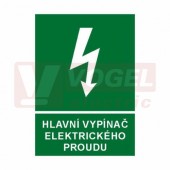 Tabulka informační "Hlavní vypínač elektrického proudu" (bílý tisk, zelený podklad), symbol s textem (6133) A4