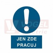 Samolepka příkazová "Jen zde pracuj" (bílý tisk, modrý podklad), symbol s textem (3903) A4