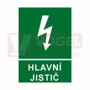 Samolepka informační "Hlavní jistič" (bílý tisk, zelený podklad), symbol s textem (6131B) A4