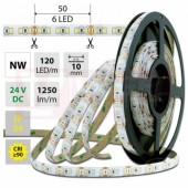 LED pásek SMD2835 NW, 120LED/m, 14W/m, 1250lm/m, IP54, DC 24V, 10mm, 5m (126.816.60.0)