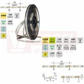 LED pásek SMD2835 UWW, 120LED/m, 9,6W/m, DC 24V, 640lm/m, CRI90, IP20, 8mm, 5m (126.842.60.0)
