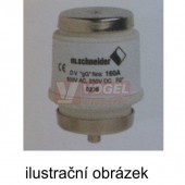 Pojistka R 2"/DV 125A gG 500V zpožděná (0270)