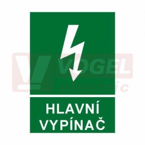 Samolepka informační "Hlavní vypínač" (bílý tisk, zelený podklad), symbol s textem (6131A) A8
