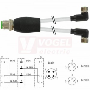 7000-40841-2100030 rozbočovací Y konektor M12/4-pin/vidl/přímý - kabel ŠE PVC 3x0,25mm2 L=0,3m - 2x konektor M8/3-pin/zás/úhlový