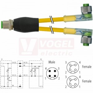 7000-40801-0130030 rozbočovací Y konektor M12/4-pin/vidl/přímý - kabel ŽL PVC 3x0,34mm2 L=0,3m - 2x  konektor M12/4-pin/2xLED/zás/úhlový