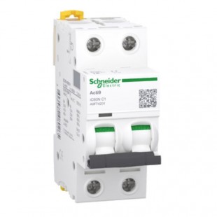 Jistič 2P  13A C iC60N (A9F74213)  6kA Acti9, jednoduchá zdířková svorka, verze pro export