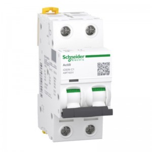 Jistič 2P  13A C iC60N (A9F74213)  6kA Acti9, jednoduchá zdířková svorka, verze pro export