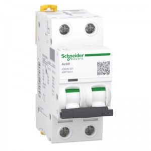 Jistič 2P  10A D iC60N (A9F75210)  6kA Acti9, jednoduchá zdířková svorka, verze pro export