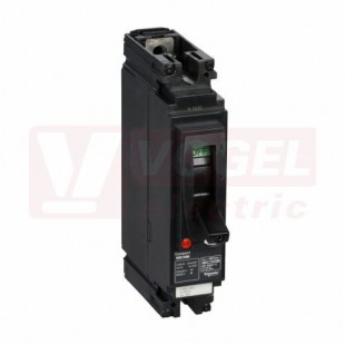 LV438689 NSX160M 125A 1P, Icu= 85kA/250VDC, jistič výkonový pro DC sítě s termomagnetickou spouští TM-D