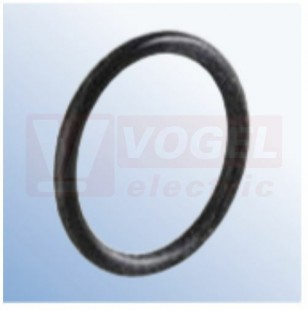 O-ring Viton FPM 13.1 x 1.6 (1100.09.98.08)