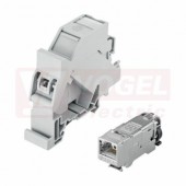 EPIC DATA HS RJ45 F 10G A Adaptér pro montážní lišty Cat.6a, obsahuje modul RJ45 podle T568A, IP20, barva světle šedá (RAL7035) (21700613)