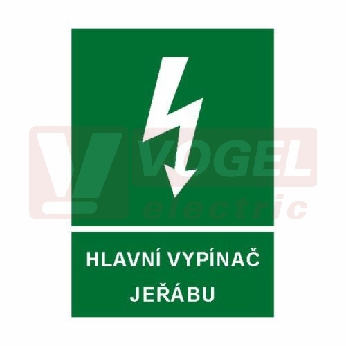Samolepka informační "Hlavní vypínač jeřábu" (bílý tisk, zelený podklad), symbol s textem (6132D) A4