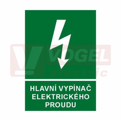 Samolepka informační "Hlavní vypínač elektrického proudu" (bílý tisk, zelený podklad), symbol s textem (6133) A4