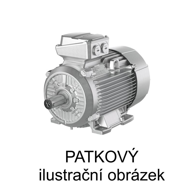 1LE5504-3AB43-4AA4 elektromotor 160kW, 400VD/690VY 50Hz, 4-pól, 1500ot/min, os.velikost 315, IMB3 patkový, úč. IE4, bez tep.ochrany, materiál Litina basic